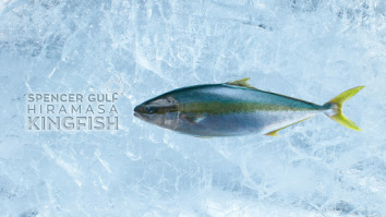 Spencer Gulf Hiramasa Kingfish