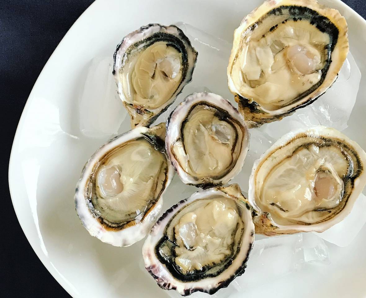 Stellar Bay Oysters