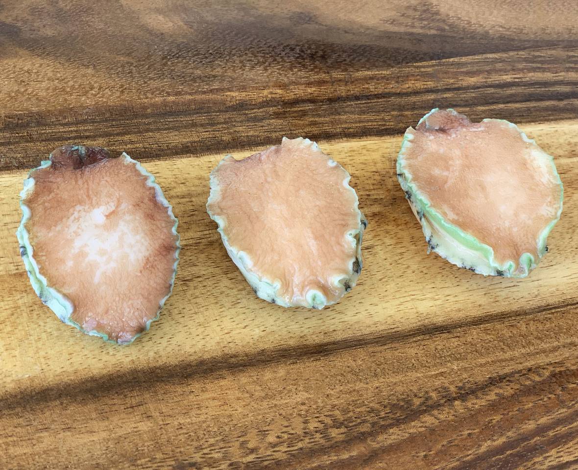 Yumbah Greenlip Abalone Meat Shop Terra Mare Prime